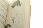 Myśli nieuczesane Lec Stanisław Jerzy [Ilustracje Gaj Jacek / 1957]