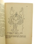 Zbiór ćwiczeń zootomicznych Dla uczniów szkół średnich J. Firewiczowa, J. Firewicz (1928)