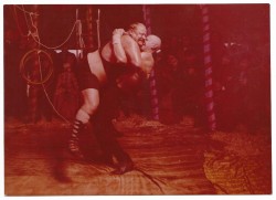 Aria dla atlety [Krzysztof Majchrzak, Michał Leśniak] reż. Filip Bajon [fotografia filmowa]