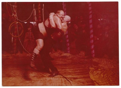 Aria dla atlety [Krzysztof Majchrzak, Michał Leśniak] reż. Filip Bajon [fotografia filmowa]