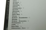 Polska Dwory - dziedzictwo historii / Polska Dworskie pejzaże [2 woluminy] Wiśniewski Mirosław (2003)