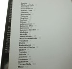Polska Dwory - dziedzictwo historii / Polska Dworskie pejzaże [2 woluminy] Wiśniewski Mirosław (2003)