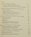 "Nowy zaciąg pod chorągiew starą tryumfującego Jezusa" O wyznaniowym wymiarze eposu biblijnego Wacława Potockiego Monika Kowalczyk (Studia o Literaturze Dawnej) (2017)