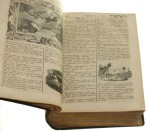 Biblia Księgi Starego Testamentu / Nowy Pana Naszego Jezusa Chrystusa Testament [współoprawne] Z łacińskiego na język polski przełożone przez Jakuba Wujka (Lipsk 1858)