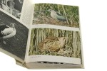 Wielki atlas ptaków J. Hanzak [1976]
