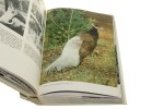 Wielki atlas ptaków J. Hanzak [1976]