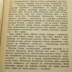 Sedno rzeczy Soseki Natsume [Powieści XX wieku / 1973]