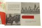 Export of Polish Riding Horses [Animex Polska Warszawa / ca 1960]