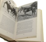 Racehorses of 1981 compiled and produced under the direction of Phil Bull, B. Sc., Reg Griffin [1982]