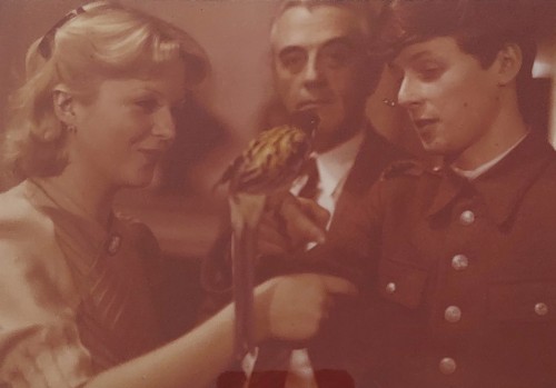 Urodziny młodego warszawiaka [Młodego Warszawiaka dzień urodzin: Gabriela Kownacka, Andrzej Łapicki, Piotr Łysak] reż. Ewa Petelska, Czesław Petelski [fotografia filmowa]