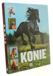 Konie Karolina Wengerek (Imagine) (2012)