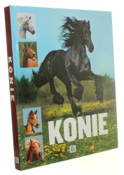 Konie Karolina Wengerek (Imagine) (2012)