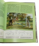 The World of Horses Jan Burgess