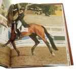 Kun a jezdecky sport Josee Hermsen (1997)