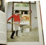 Le Cheval Sans Probleme [Praca zbiorowa] (1982)