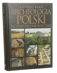 Archeologia Polski wczesnośredniowiecznej Odkrycia hipotezy interpretacje Buko Andrzej [2006]