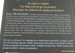 Wierzę w to, co potrafię zrozumieć Jan Woleński w rozmowie z Sebastianem T. Kołodziejczykiem, Jackiem Prusakiem i Jolantą Workowską (2014)