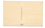 Truskawiec [Трускавець, Truskaweć / Ukraina] Źródło Bronisława[pocztówka przed 1939]