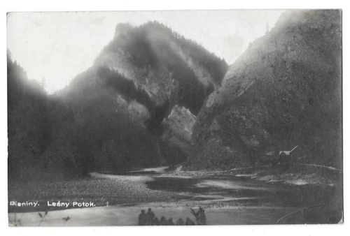 Pieniny Leśny Potok [pocztówka przed 1939]