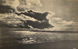 [Gdynia ?] Molo Morze bałtyckie [pocztówka przed 1939]