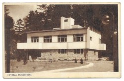 Krynica Dyrektorówka [pocztówka przed 1939]  