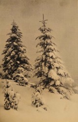 Krynica w zimie [pocztówka przed 1939] 