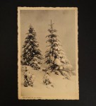 Krynica w zimie [pocztówka przed 1939]