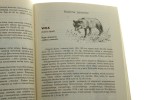 Tropy i ślady zwierząt Poradnik dla miłośników przyrody Wiesław Albin. Chmielewski [1987]