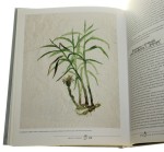 Amor Polonus czyli Miłość Polaków Muzeum Pałac w Wilanowie, marzec-sierpień 2010 T. II [red. nauk. kat. Teresa Grzybkowska, Dominika Walawender-Musz, Zdzisław Żygulski jun.] (2010)