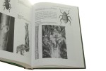 Entomologia leśna t. I-II Andrzej Szujecki [1998]