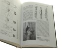 Entomologia leśna t. I-II Andrzej Szujecki [1998]