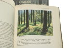 Z dziejów Lasów Państwowych i leśnictwa polskiego 1924-2004 t. III cz. 1-2 E. Bernadzki [2006]