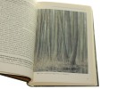 Z dziejów Lasów Państwowych i leśnictwa polskiego 1924-2004 t. III cz. 1-2 E. Bernadzki [2006]