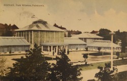 Poznań Park Wilsona Palmiarnia [pocztówka ca 1930]