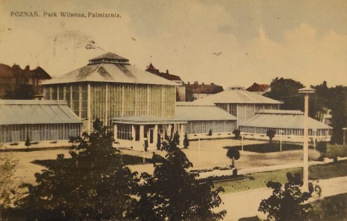Poznań Park Wilsona Palmiarnia [pocztówka ca 1930]