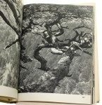Pieniny Edward Hartwig Słowo wstępne Jan Wiktor [ukł. graf. E. Hartwig] (1966)