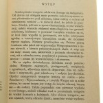 Wielkość urojona Stanisław Lem [WYDANIE PIERWSZE / 1973]