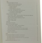 Arsenał sztuki Galeria Arsenał w Białymstoku i jej Kolekcja II Kamil Kopania (2006)