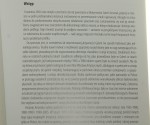 Arsenał sztuki Galeria Arsenał w Białymstoku i jej Kolekcja II Kamil Kopania (2006)