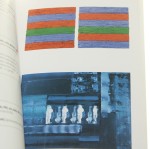 Arsenał sztuki Galeria Arsenał w Białymstoku i jej Kolekcja II Kamil Kopania (2006)