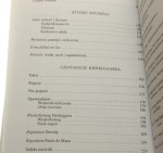 Teorie mimesis Repetycja Arne Melberg [Horyzonty Nowoczesności / 2002]