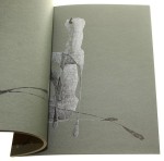 Grażyna Samulska wstęp Zbigniew Pindor [katalog prac / ca 2010]