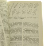 Leśne rośliny zielarskie Maria Polakowska [1987]