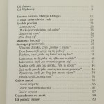Zdradzony przez ojca Eichelberger Wojciech [1998]
