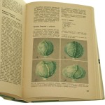 Zdrowo i smacznie Poradnik racjonalnego żywienia rodziny w zdrowiu i chorobie Zofia Czerny i inni [1973]