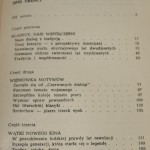 Między klasyką a nowym kinem Wojciech Wierzewski [1981]