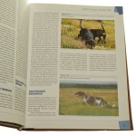 Kynologia łowiecka podręcznik pod redakcją naukową Andrzeja Brabletza [2017]