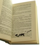 Ptaki Europy przewodnik terenowy Zygmunt Czarnecki i inni [1982]