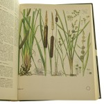 Świat roślin skał i minerałów praca zbiorowa pod redakcją Smosaka Ladislava [1984]