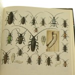 Świat zwierząt red. Henryk Garbarczyk [1984]